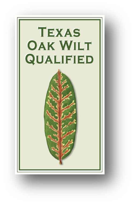 Oak Wilt Qualified Arborist
